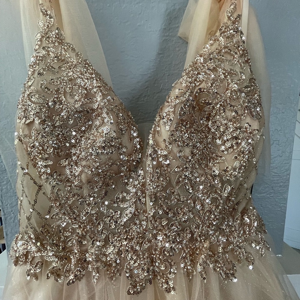 Cinderella Divine dress